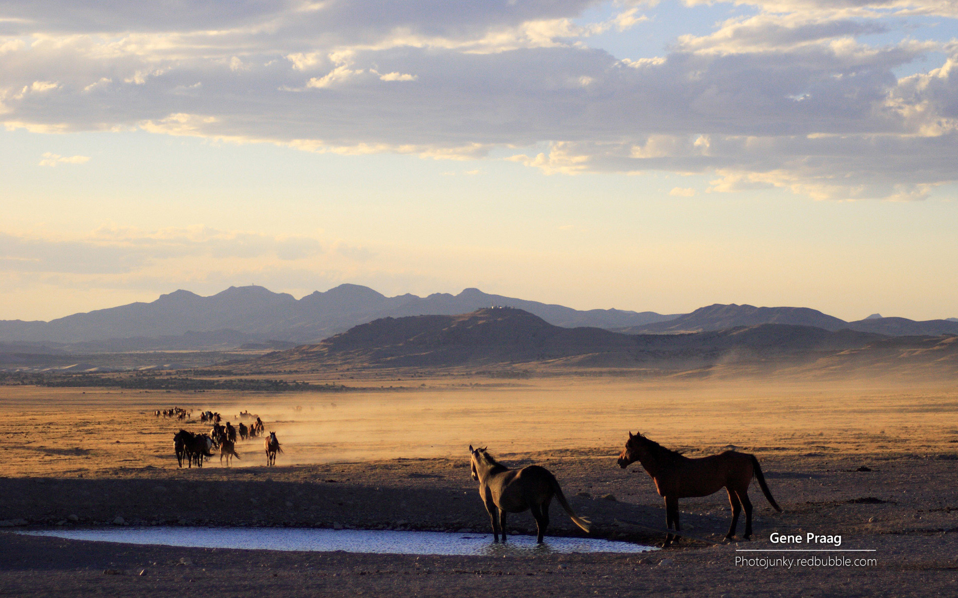 脱缰野马_脱缰野马的意思_降央卓玛脱缰野马